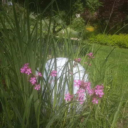 Appartement Z Obrazka