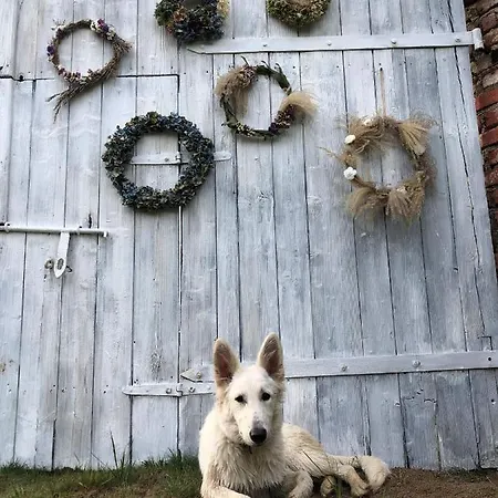 Apartment Z Obrazka Jedrzychowice (Zgorzelec)