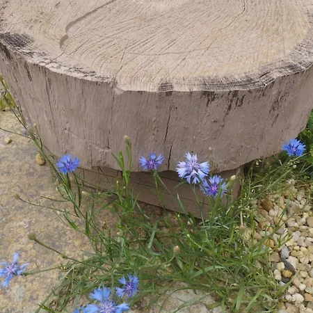 Appartement Z Obrazka