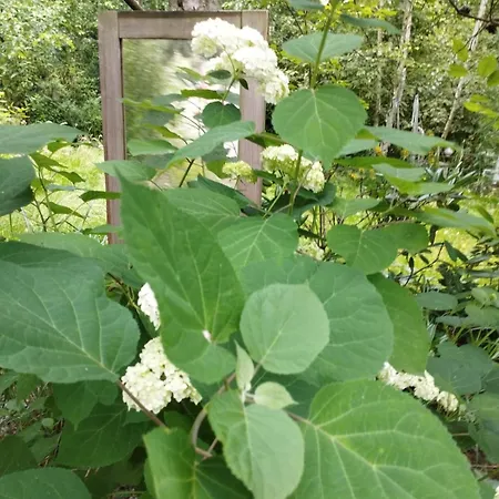 Z Obrazka Appartement *