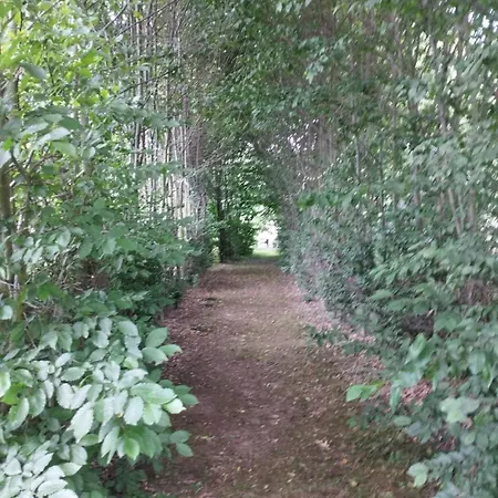 Apartment Z Obrazka *