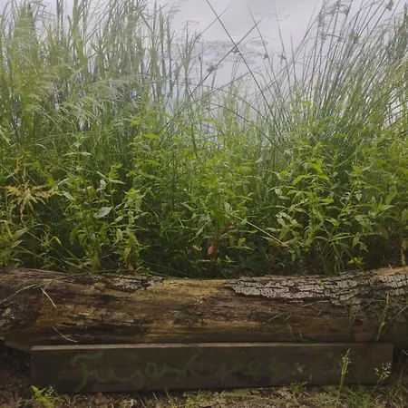 Z Obrazka Apartment Jedrzychowice (Zgorzelec)