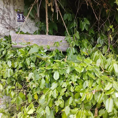 Appartement Z Obrazka *