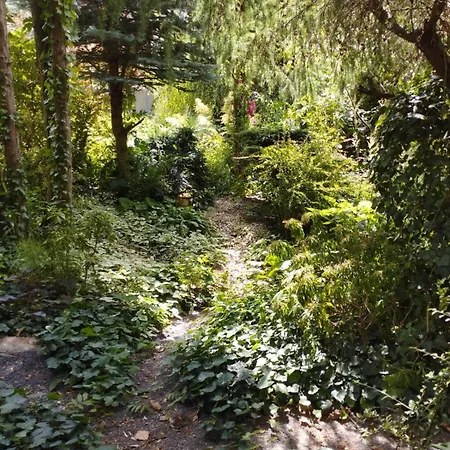 Z Obrazka Appartement Jedrzychowice (Zgorzelec)