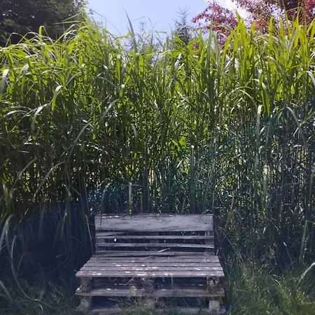 Z Obrazka * Jedrzychowice (Zgorzelec)