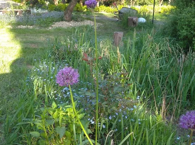 Z Obrazka Apartment Jedrzychowice (Zgorzelec)