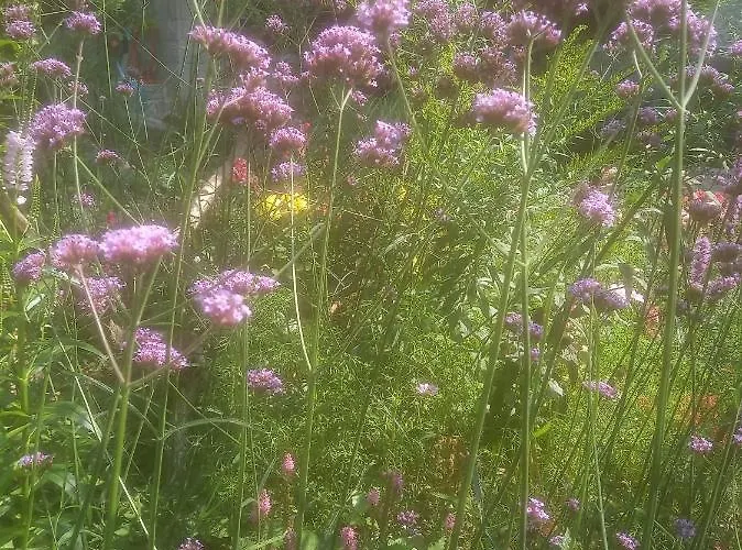 Z Obrazka Jedrzychowice (Zgorzelec)