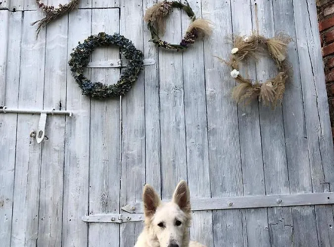 Apartment Z Obrazka Jedrzychowice (Zgorzelec)