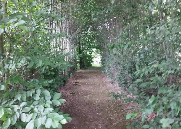 Apartment Z Obrazka *