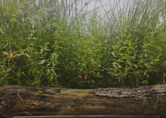 Z Obrazka Apartment Jedrzychowice (Zgorzelec)