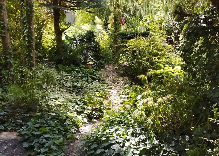 Z Obrazka Daire Jedrzychowice (Zgorzelec)