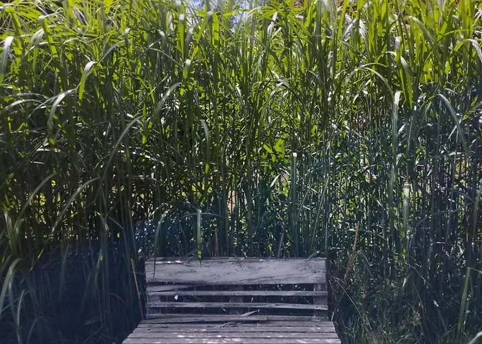 Z Obrazka * Jedrzychowice (Zgorzelec)